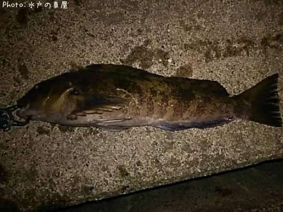 �����ʥ�