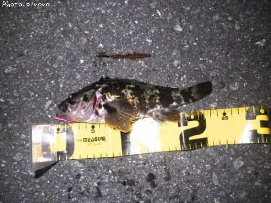 �����Υ���Х�