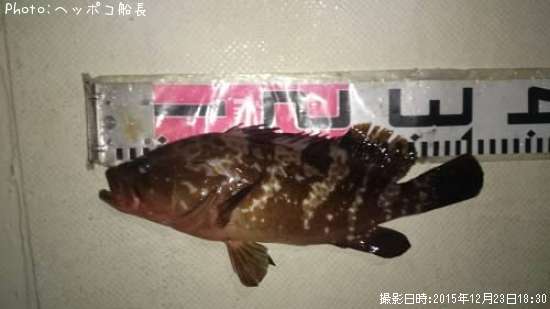 �����ϥ�