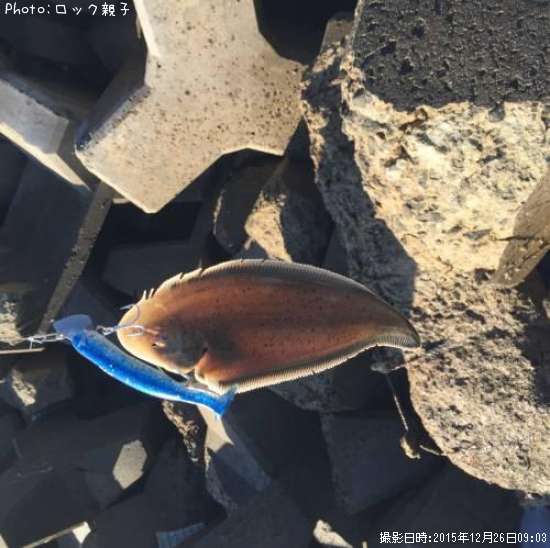 �����ӥ��