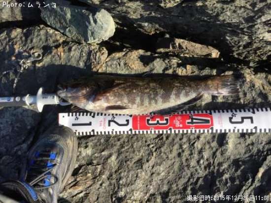 �����ʥ�