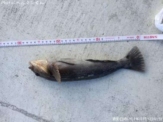 �����ʥ�