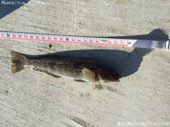 �����ʥ�