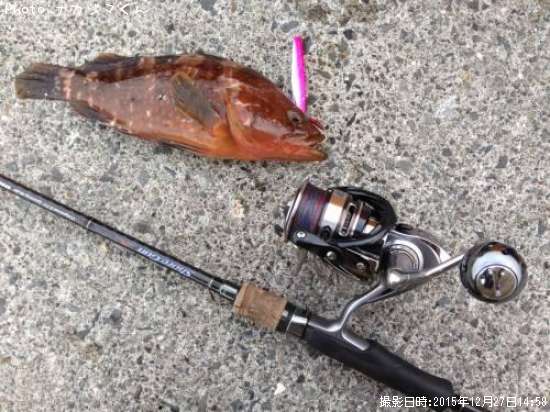 �����ϥ�