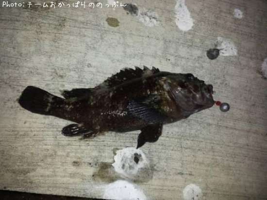 ��饽��