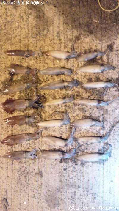 ���󥵥�����