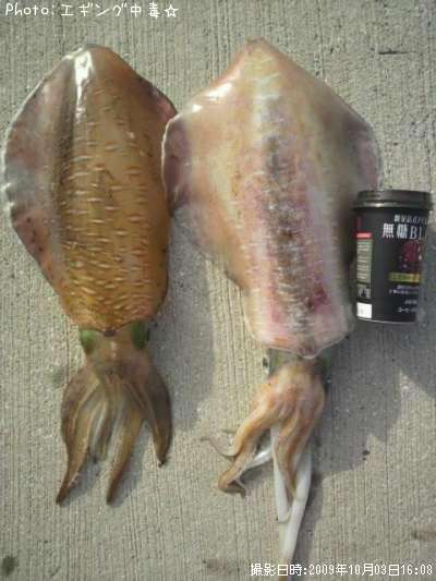 �����ꥤ��