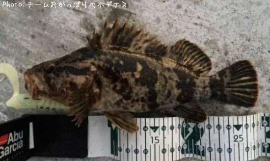 �����Υ���Х�