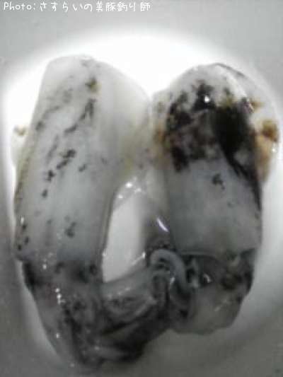 �����ꥤ��