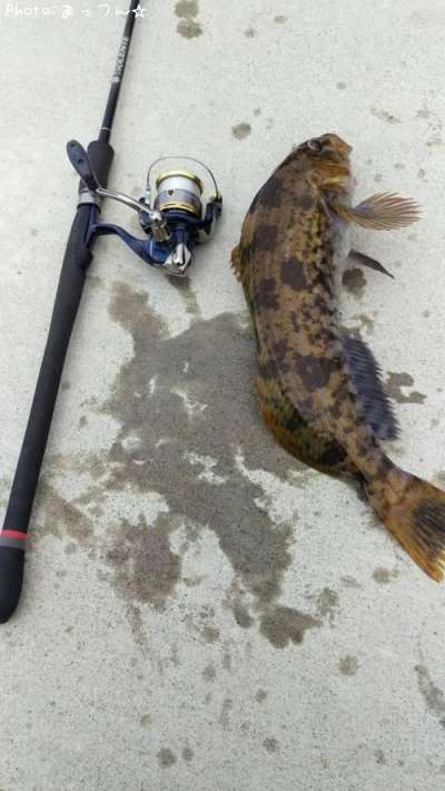 �����ʥ�