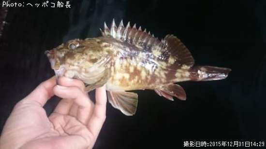 �������������Υ�