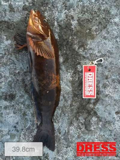 �����ʥ�