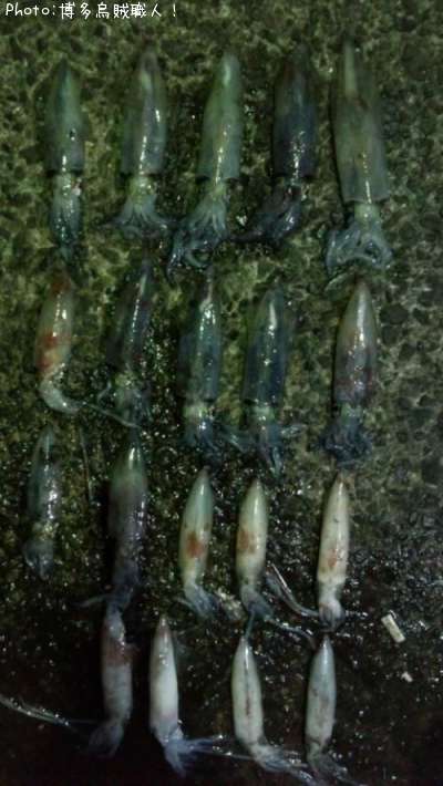 ���󥵥�����