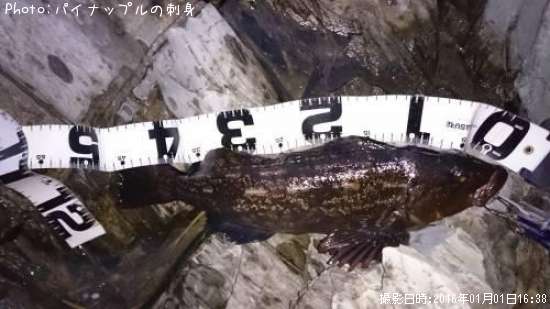 �����ʥ�