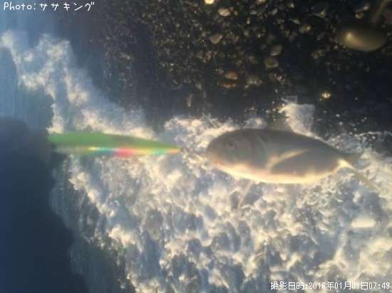 ���Υ���