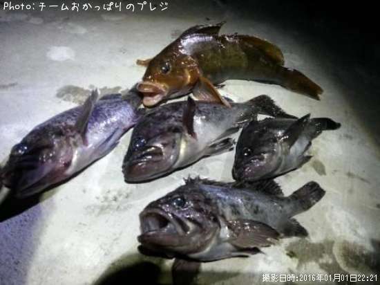 �����ʥ�