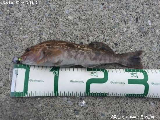 �����ʥ�