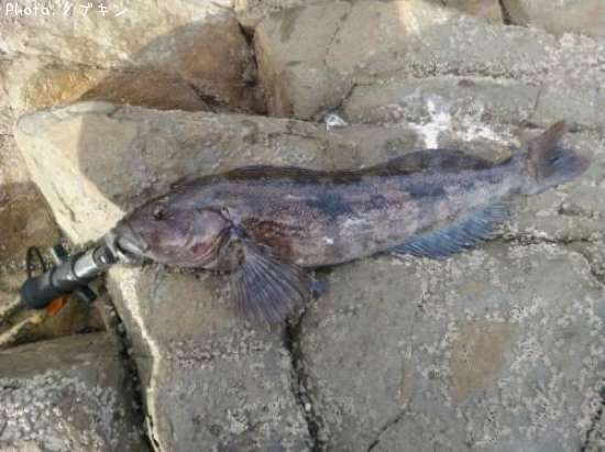 �����ʥ�