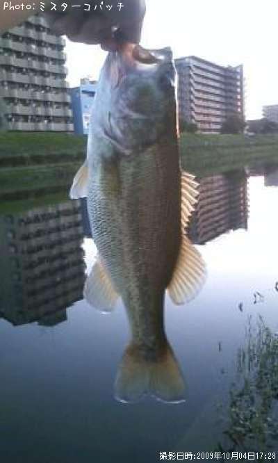 �֥�å��Х�