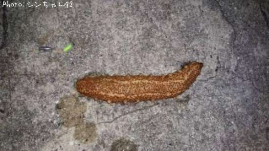 �ʥޥ�