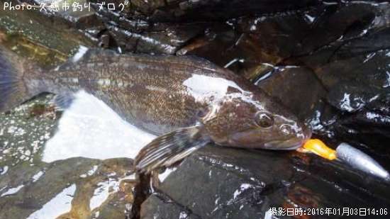 �����ʥ�