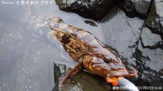 �����ʥ�