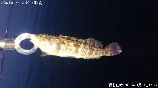 �����ʥ�