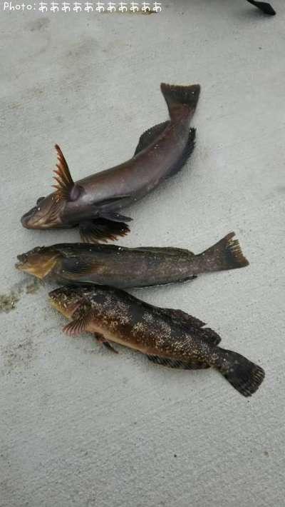 �����ʥ�