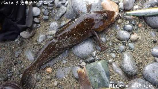 �����ʥ�