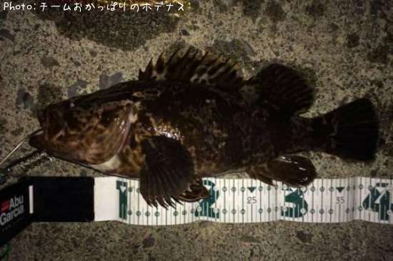 �����Υ���Х�