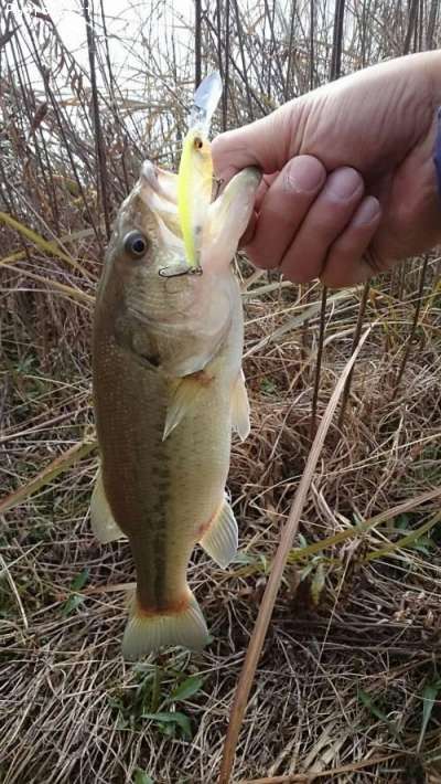 �֥�å��Х�