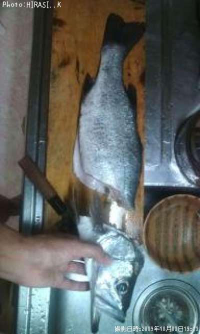 �ҥ饹����