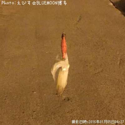 �ҥ���