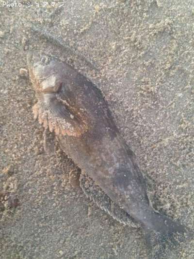 �����ʥ�