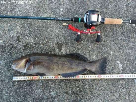 �����ʥ�