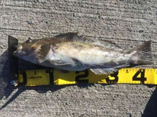 �����ʥ�