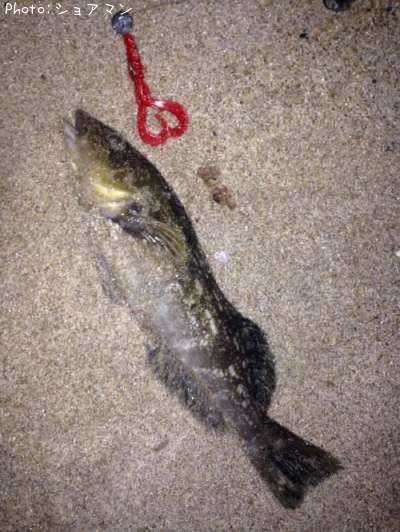 �����ʥ�