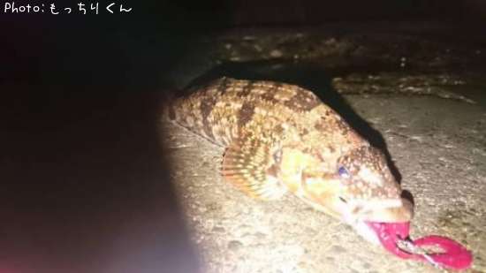 �����ʥ�