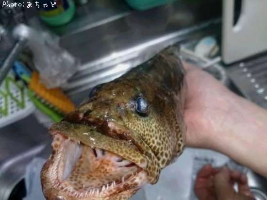�����顼�ߡ��Х��ڥޥ���ϥ���
