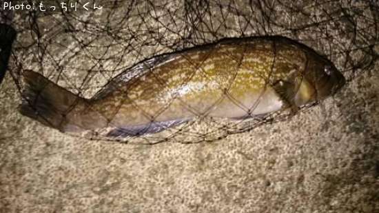 �����ʥ�