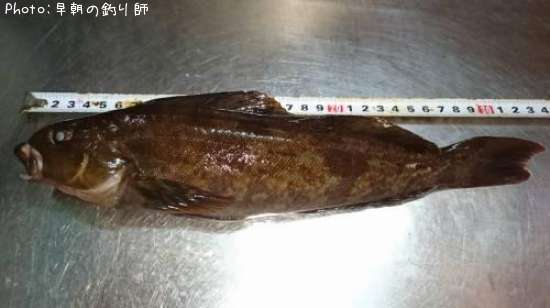 �����ʥ�