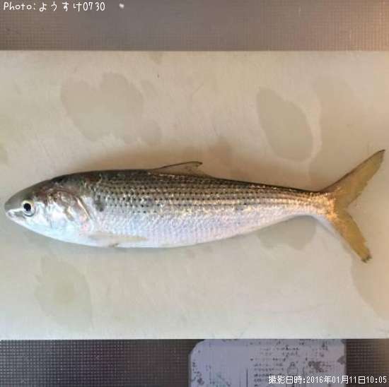 ���Υ���