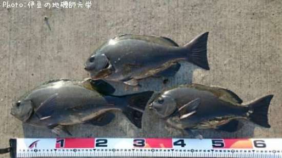 �����᥸��