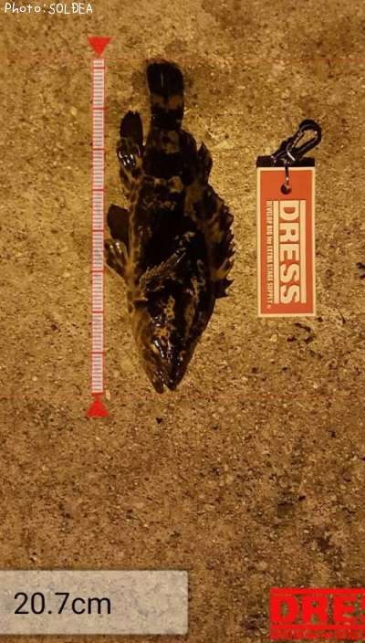 �����Υ���Х�