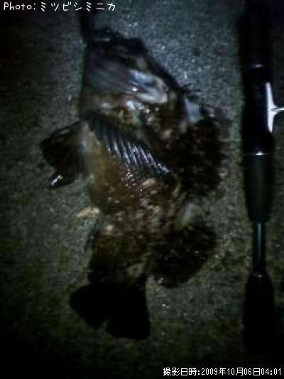 �����Υ���Х�