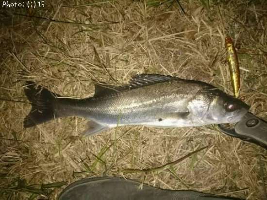 �����Х�