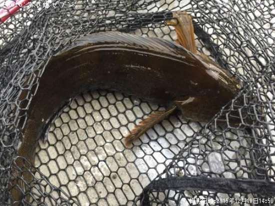 �����ʥ�