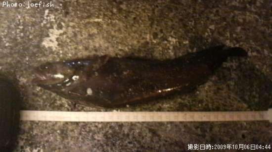 �������������ʥ�