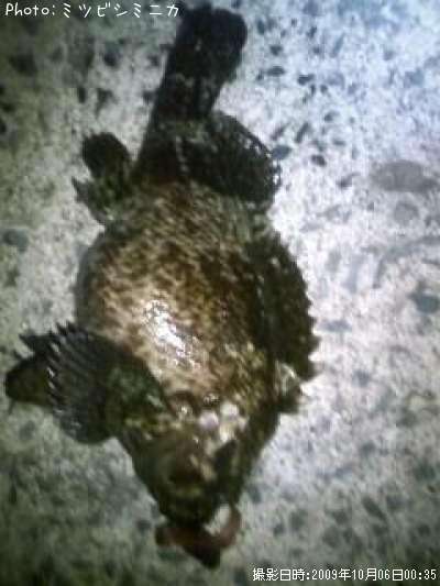 �����Υ���Х�