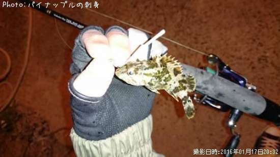 �٥å�������